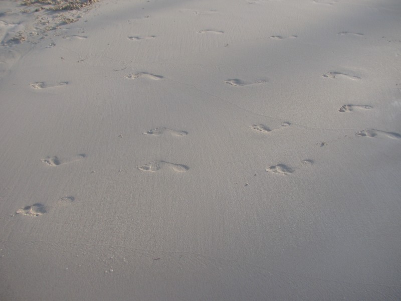 Dominican Republic 205.jpg